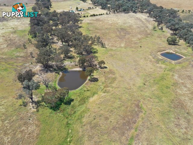 61 Sads Lane YOUNG NSW 2594