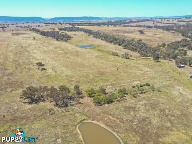 61 Sads Lane YOUNG NSW 2594