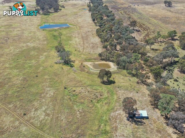 61 Sads Lane YOUNG NSW 2594