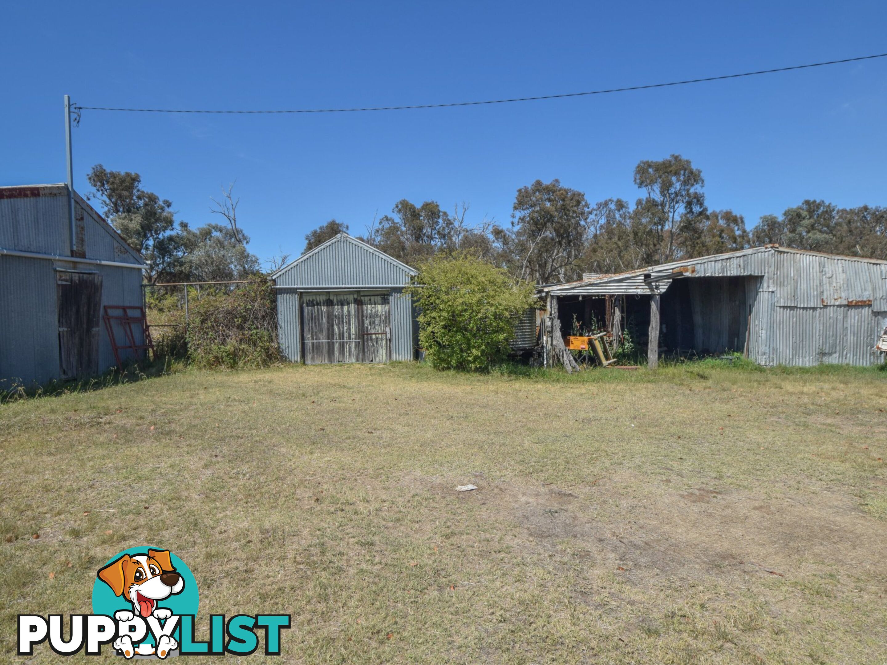 61 Sads Lane YOUNG NSW 2594