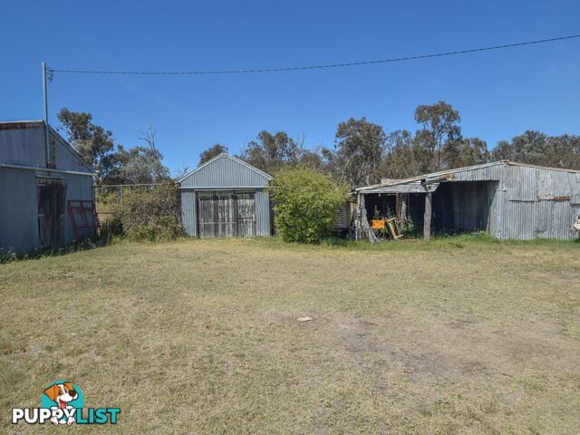 61 Sads Lane YOUNG NSW 2594