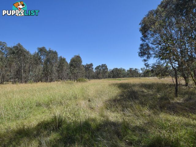 61 Sads Lane YOUNG NSW 2594