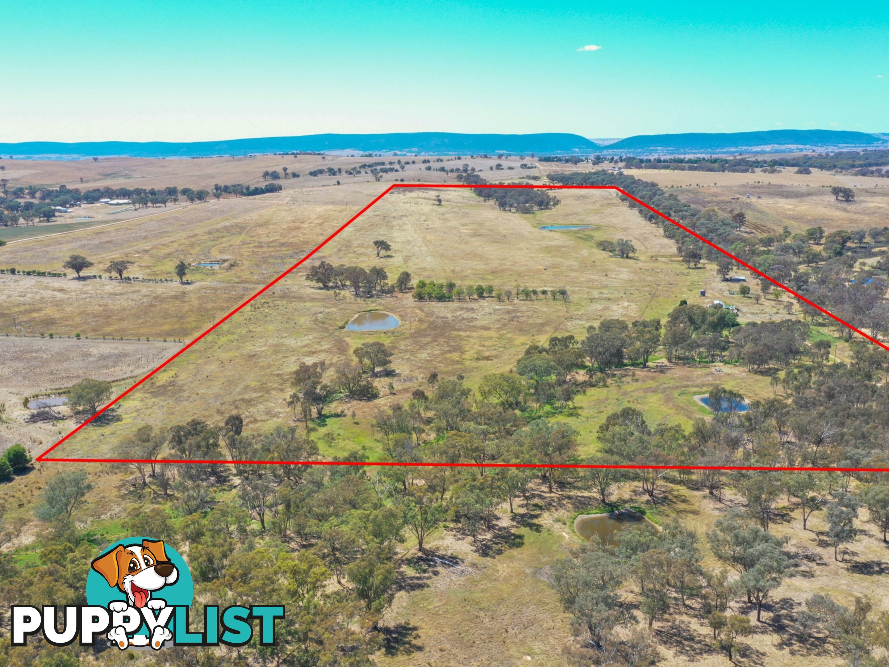 61 Sads Lane YOUNG NSW 2594