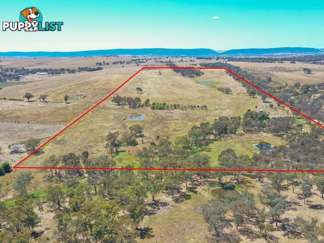 61 Sads Lane YOUNG NSW 2594