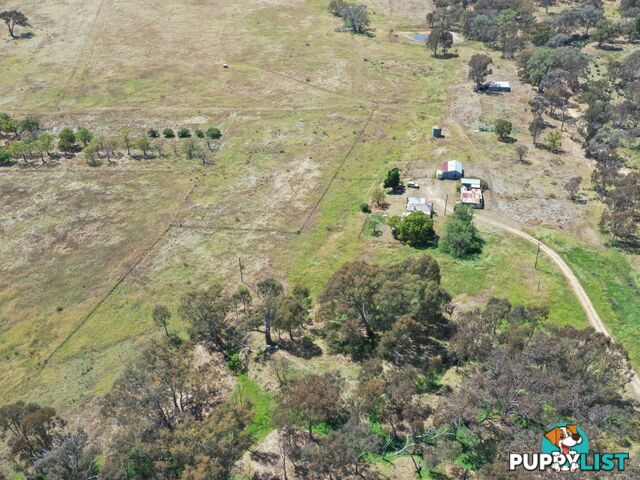 61 Sads Lane YOUNG NSW 2594