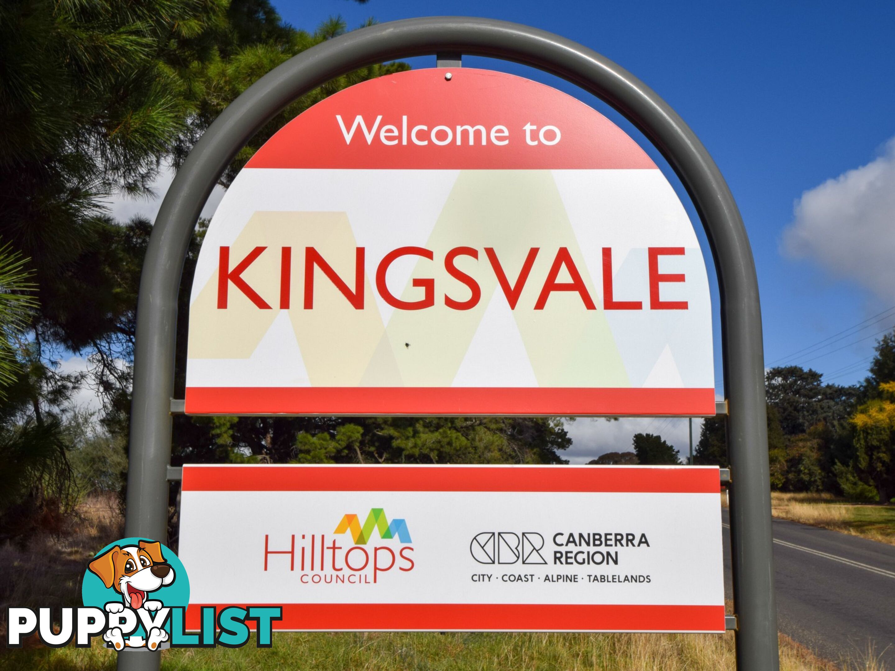 973 Kingsvale Road YOUNG NSW 2594