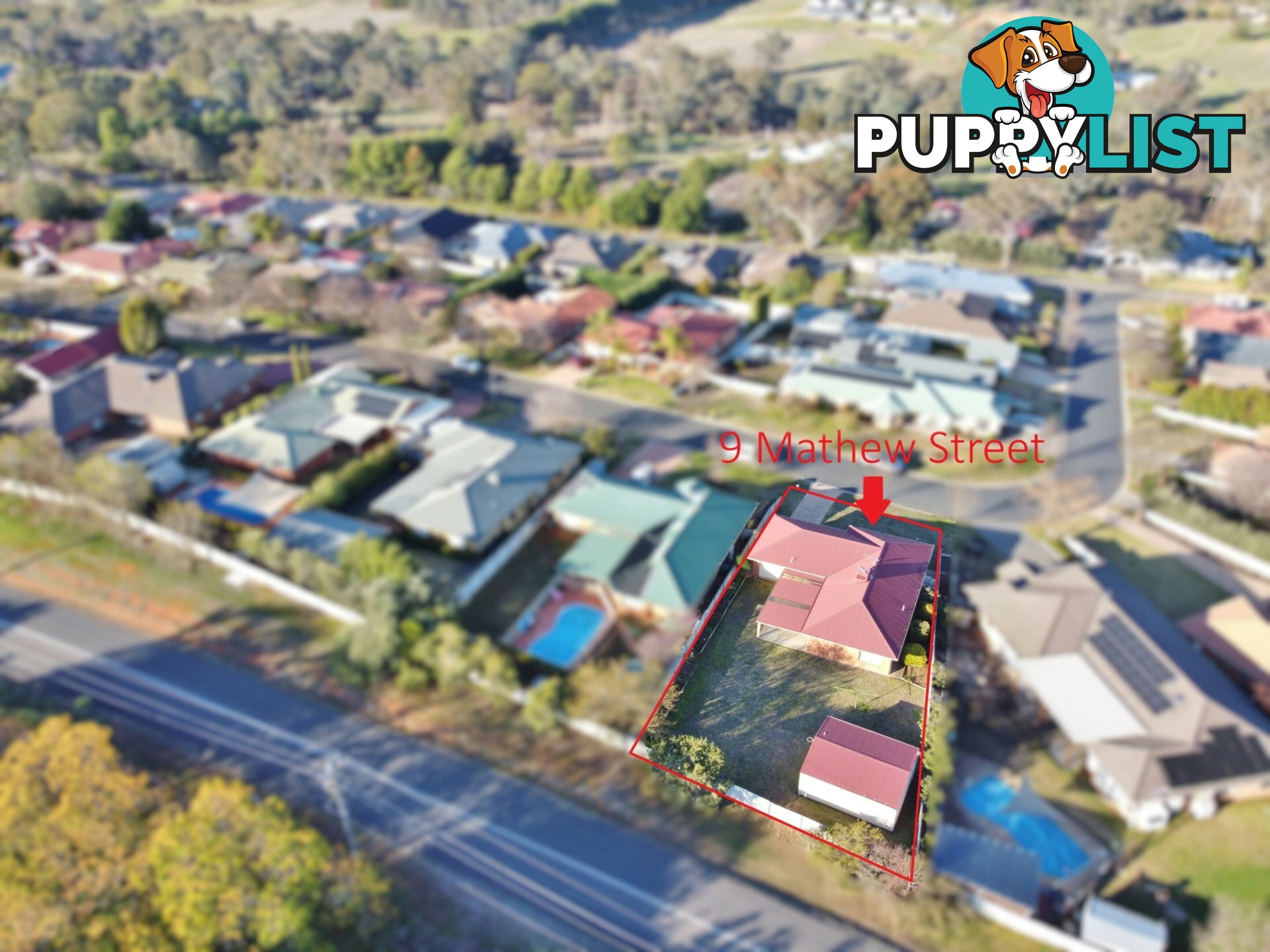 9 Mathew Street YOUNG NSW 2594