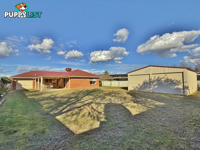 9 Mathew Street YOUNG NSW 2594