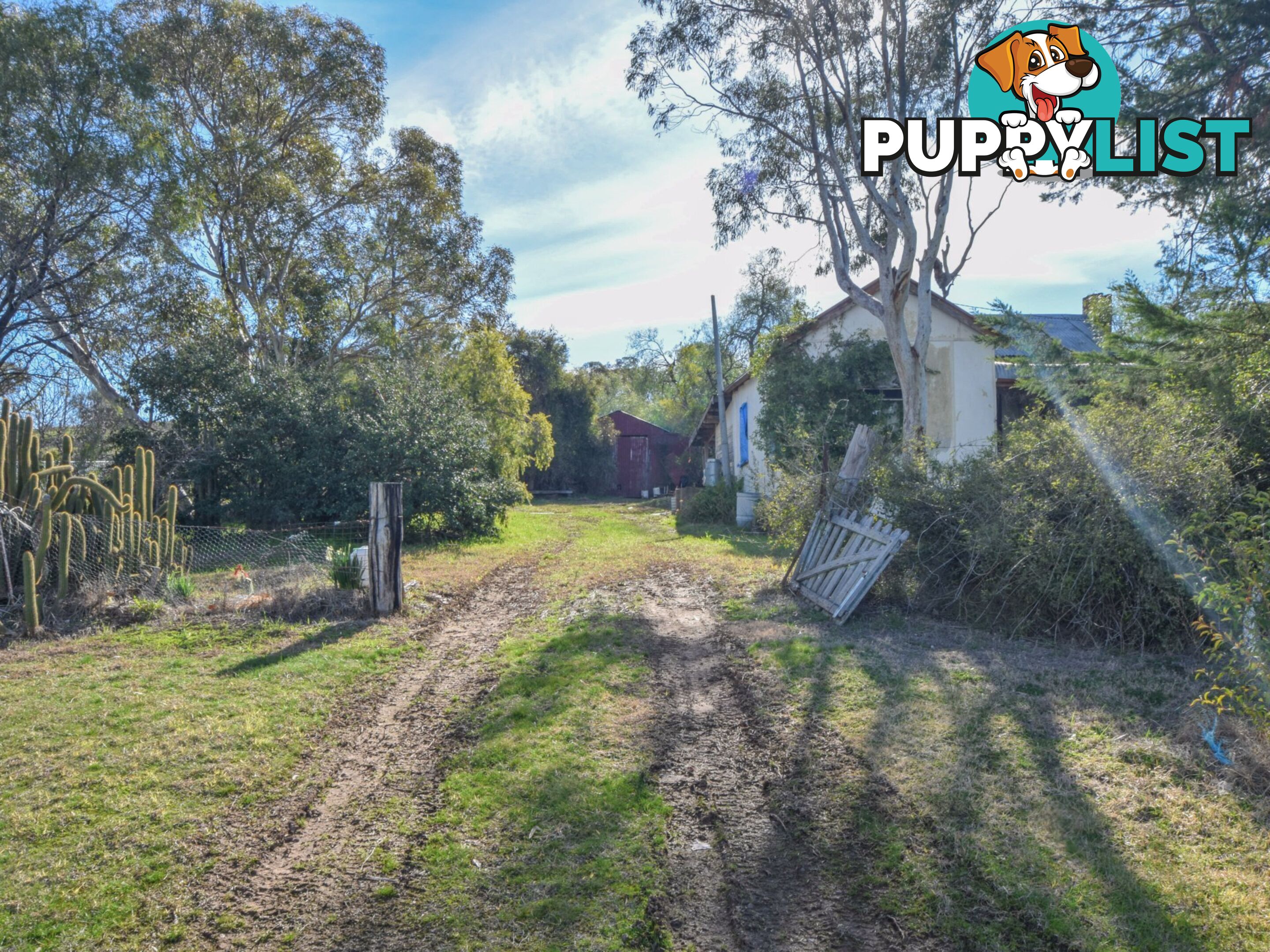 55 Wirrimah Road, Bendick Murrell, via YOUNG NSW 2594