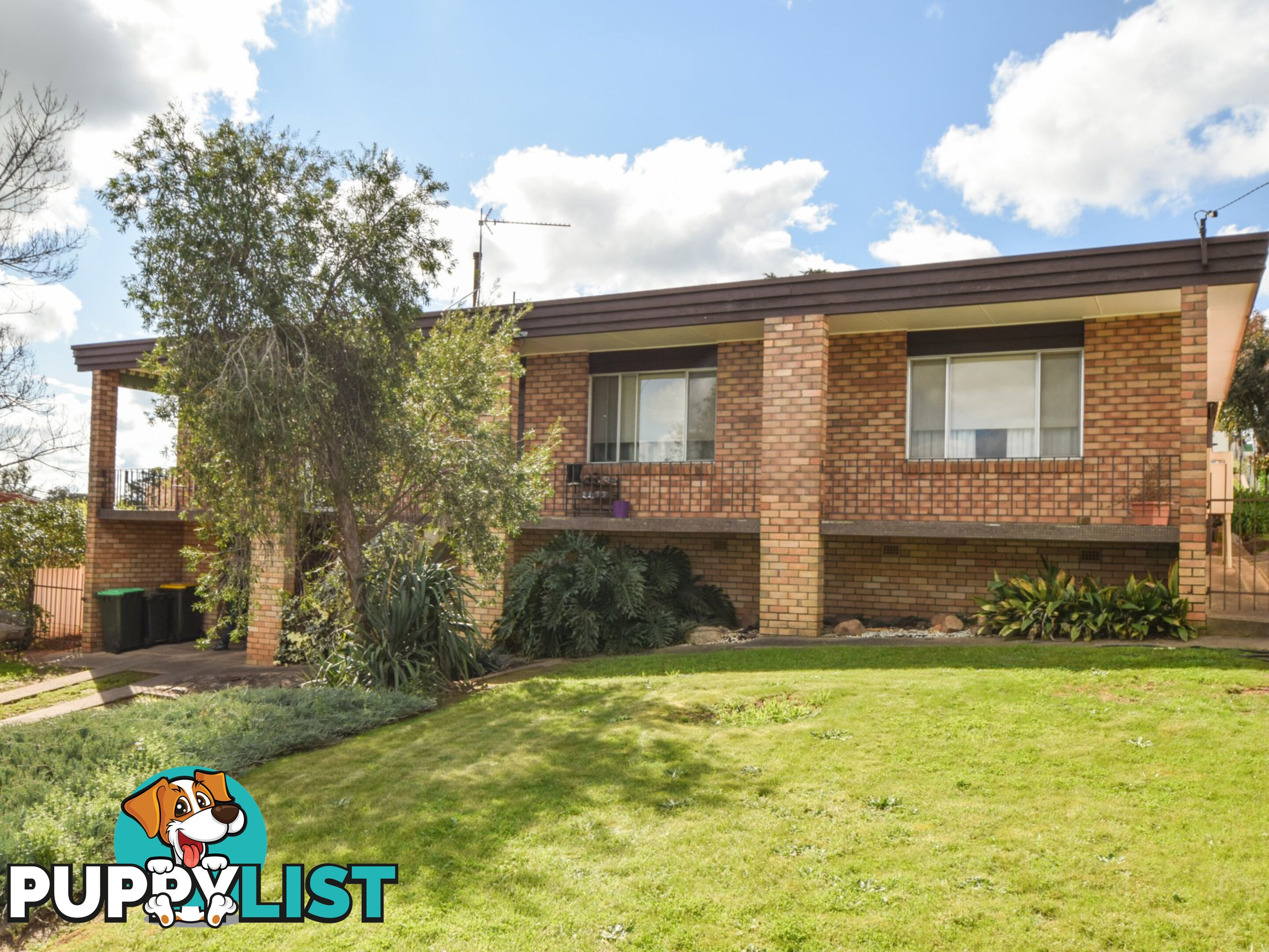 135 Edward Street YOUNG NSW 2594