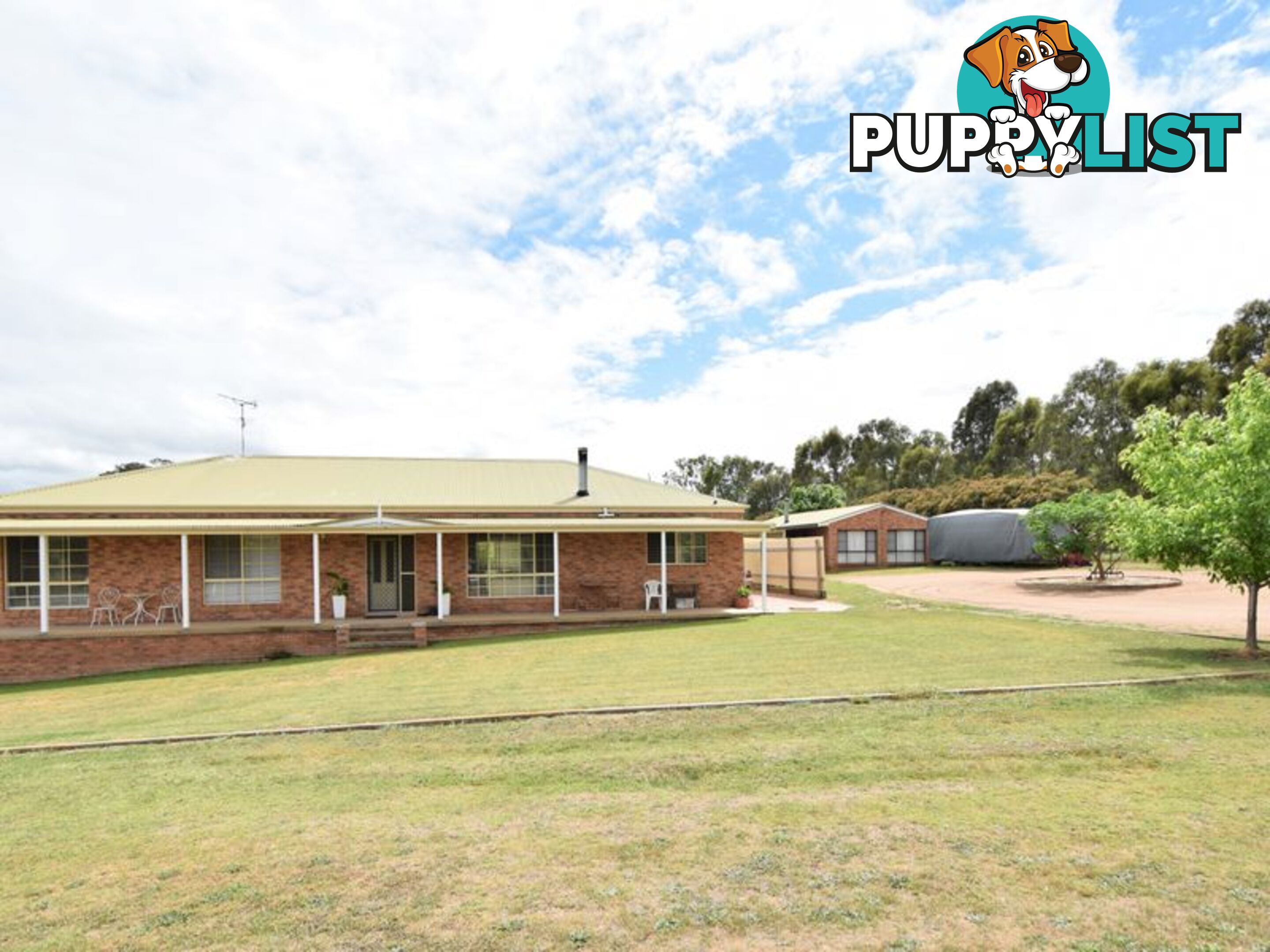 80 Normans Rd YOUNG NSW 2594