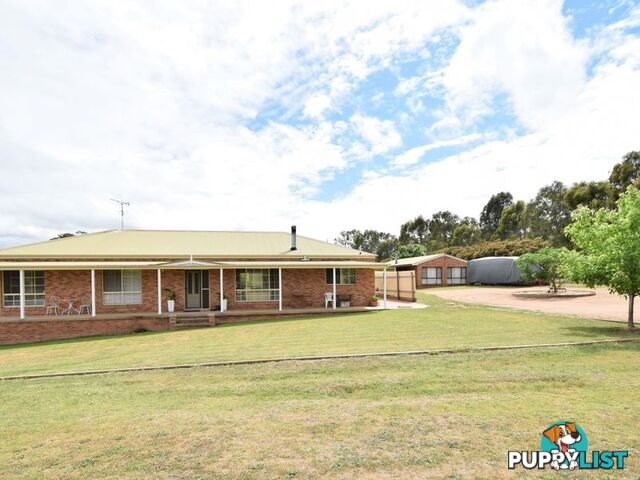 80 Normans Rd YOUNG NSW 2594