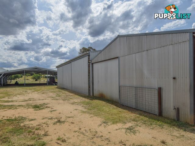 373 Milvale Road YOUNG NSW 2594