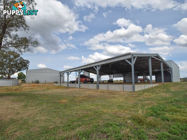 373 Milvale Road YOUNG NSW 2594