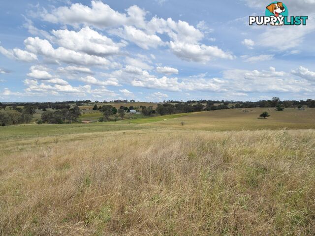 373 Milvale Road YOUNG NSW 2594