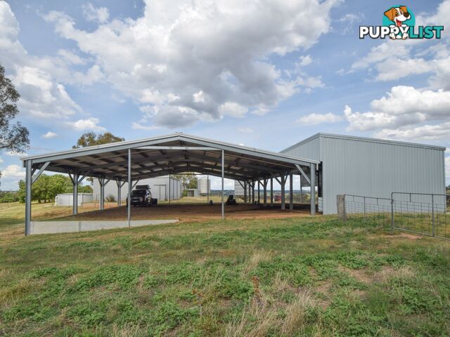 373 Milvale Road YOUNG NSW 2594