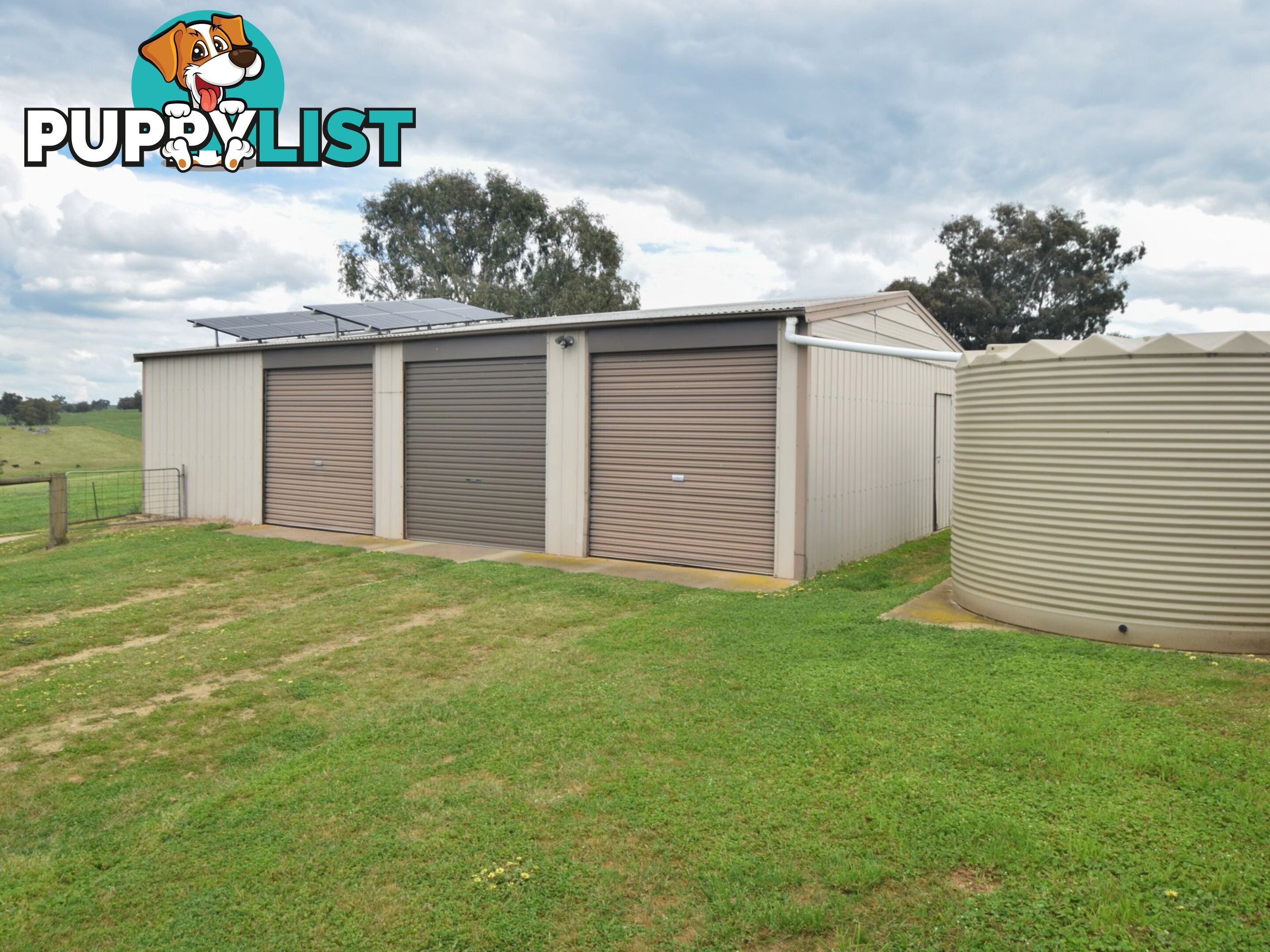 373 Milvale Road YOUNG NSW 2594