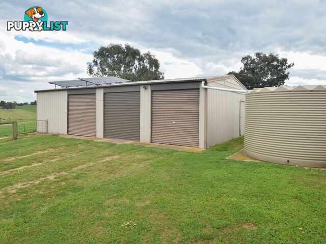 373 Milvale Road YOUNG NSW 2594