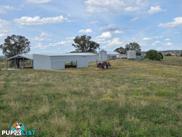 373 Milvale Road YOUNG NSW 2594