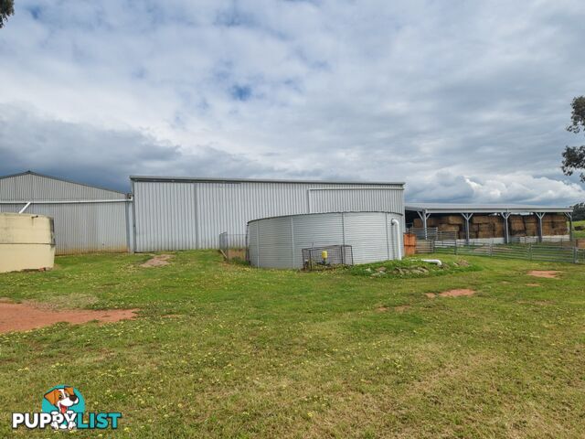 373 Milvale Road YOUNG NSW 2594