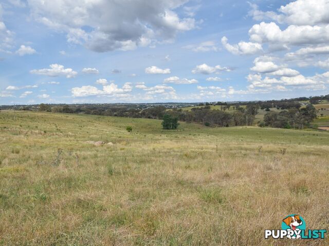 373 Milvale Road YOUNG NSW 2594