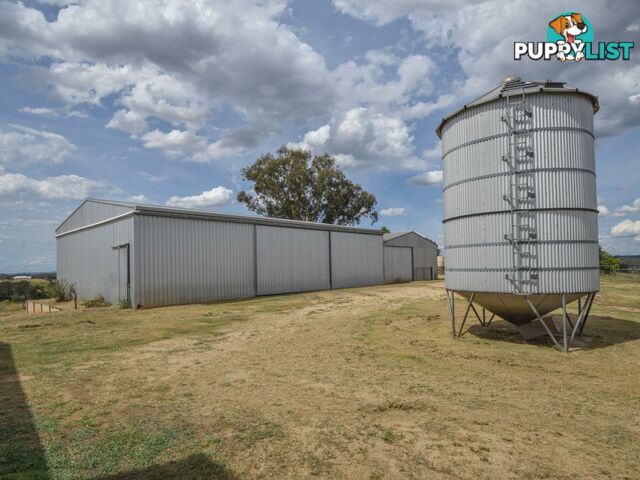 373 Milvale Road YOUNG NSW 2594