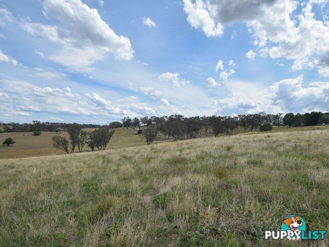 373 Milvale Road YOUNG NSW 2594