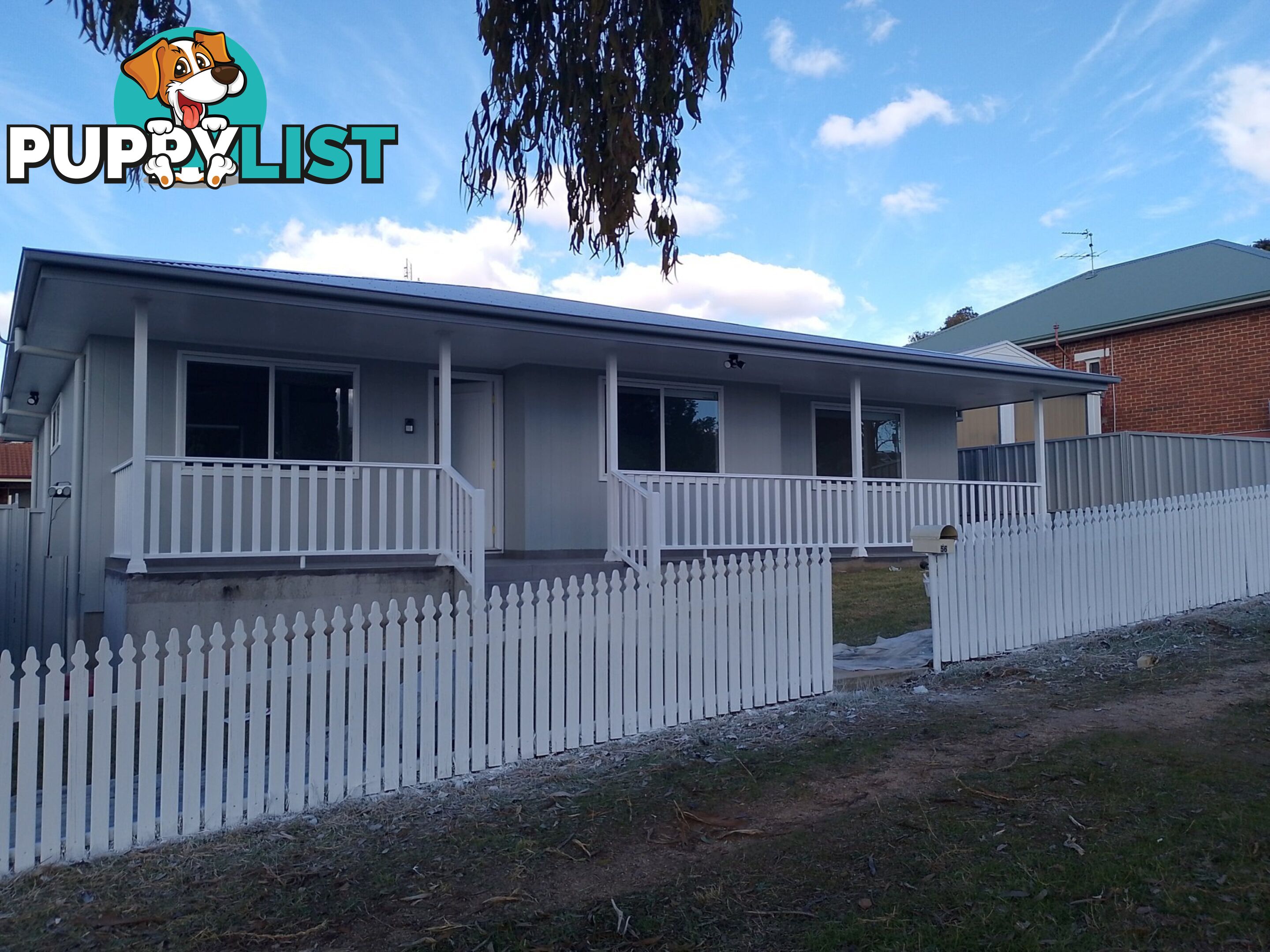 56 Caple Street YOUNG NSW 2594