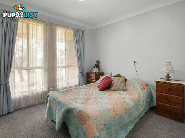 86 Willawong Street YOUNG NSW 2594