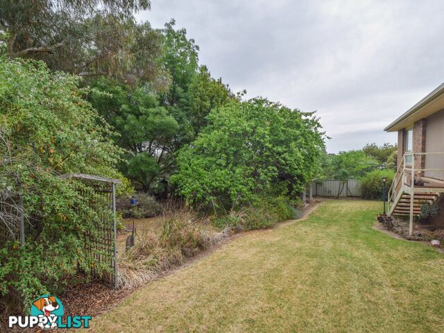 86 Willawong Street YOUNG NSW 2594