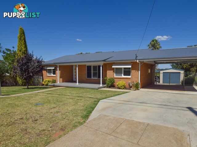 41 Fontenoy Street YOUNG NSW 2594