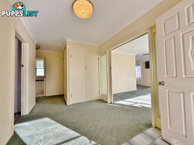108 Wombat Street YOUNG NSW 2594