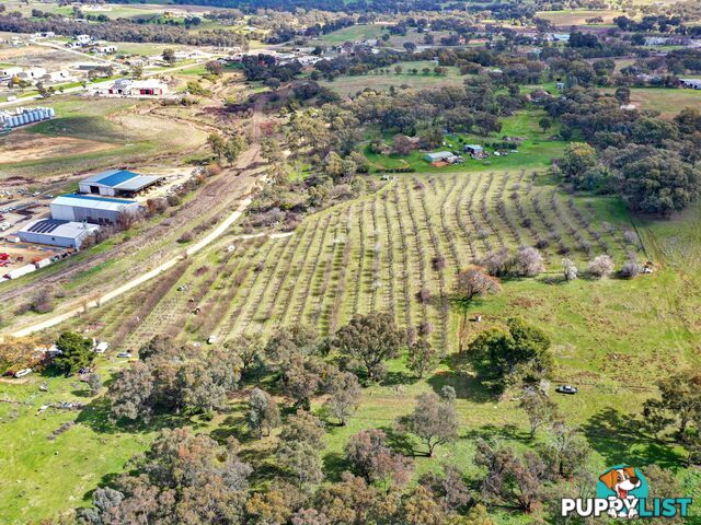 56 Rockdale Road YOUNG NSW 2594