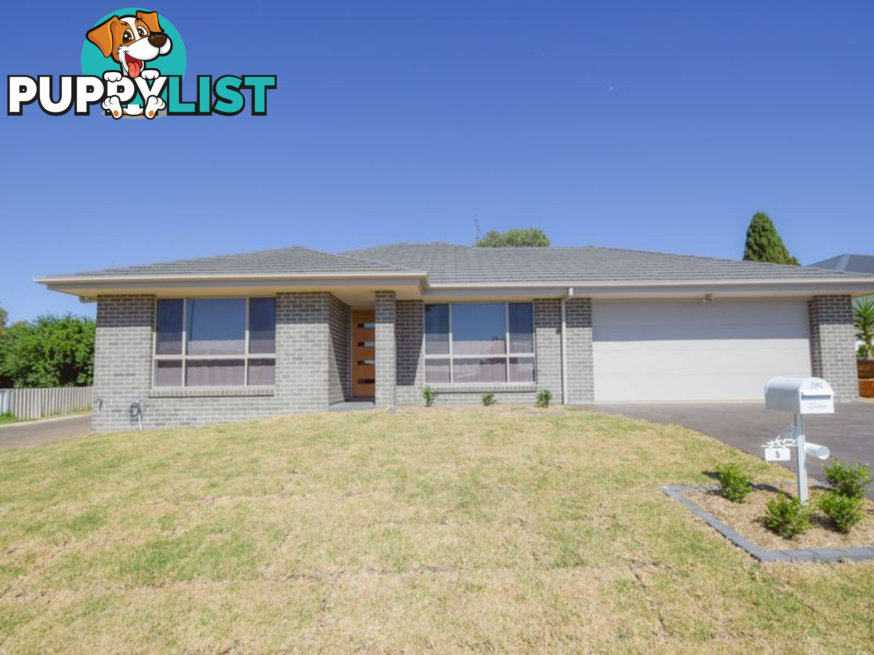5 Molloy Place YOUNG NSW 2594
