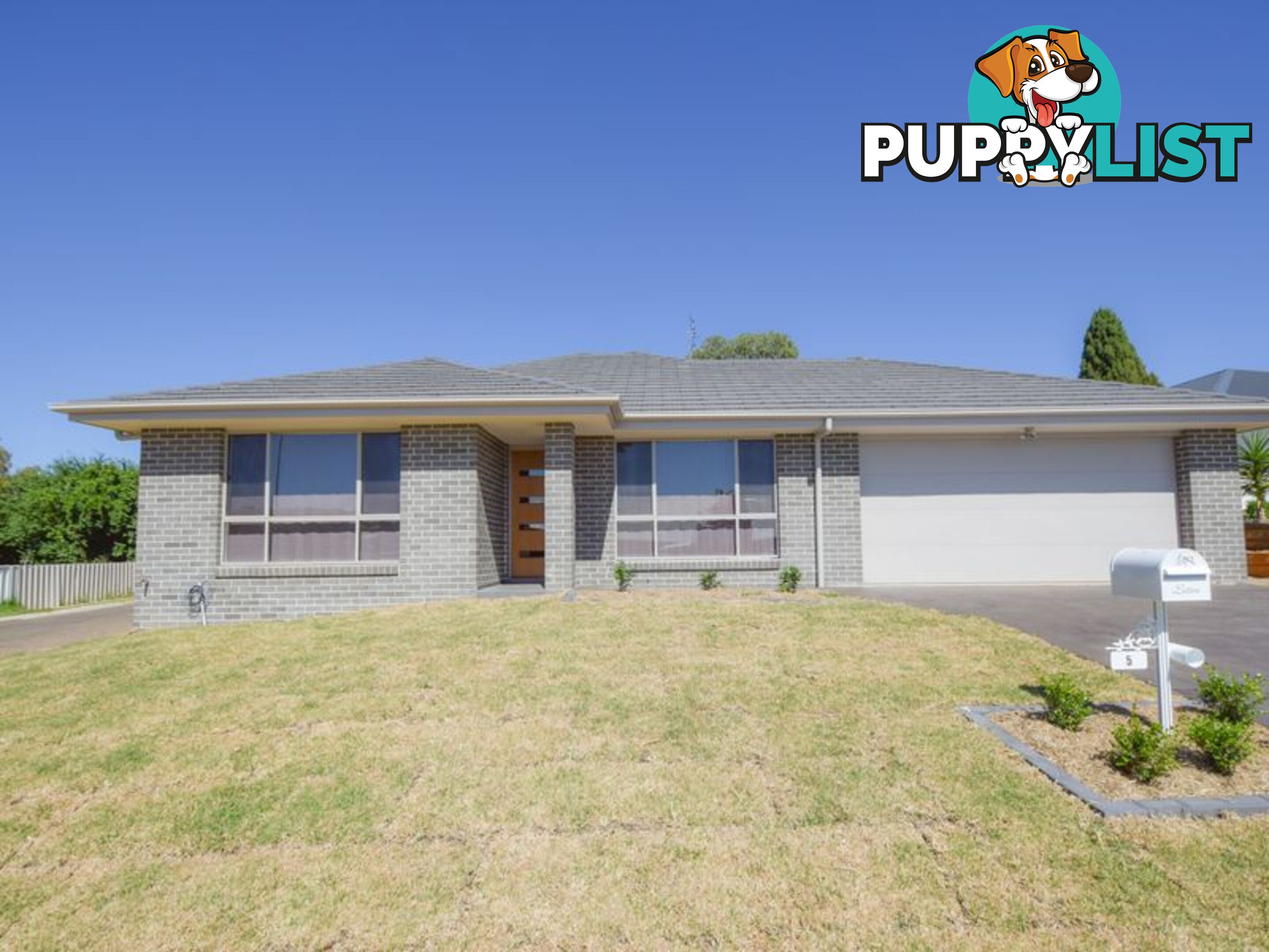 5 Molloy Place YOUNG NSW 2594