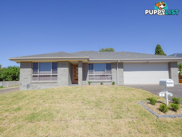 5 Molloy Place YOUNG NSW 2594