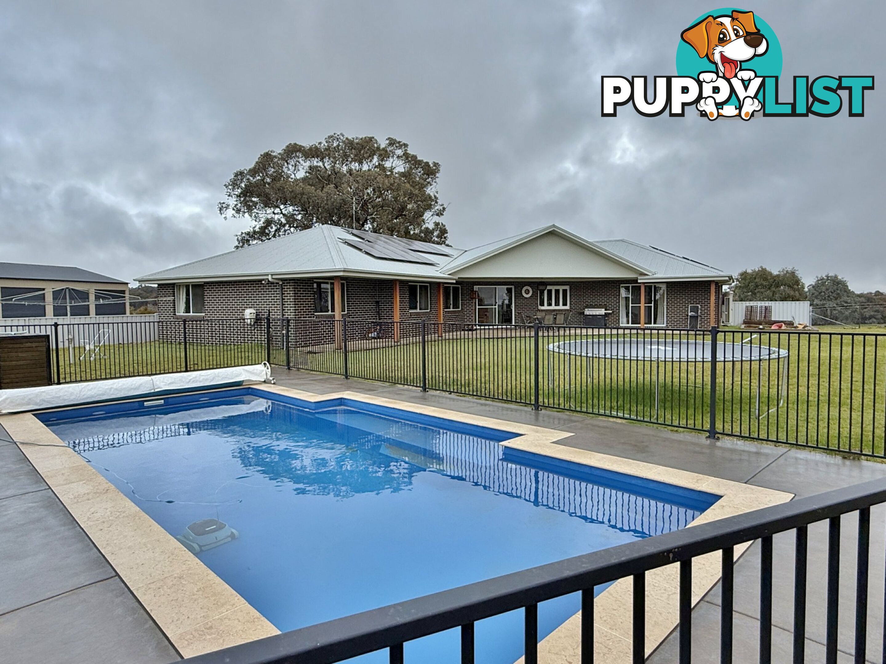 403 Spring Creek Road YOUNG NSW 2594