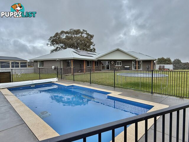 403 Spring Creek Road YOUNG NSW 2594