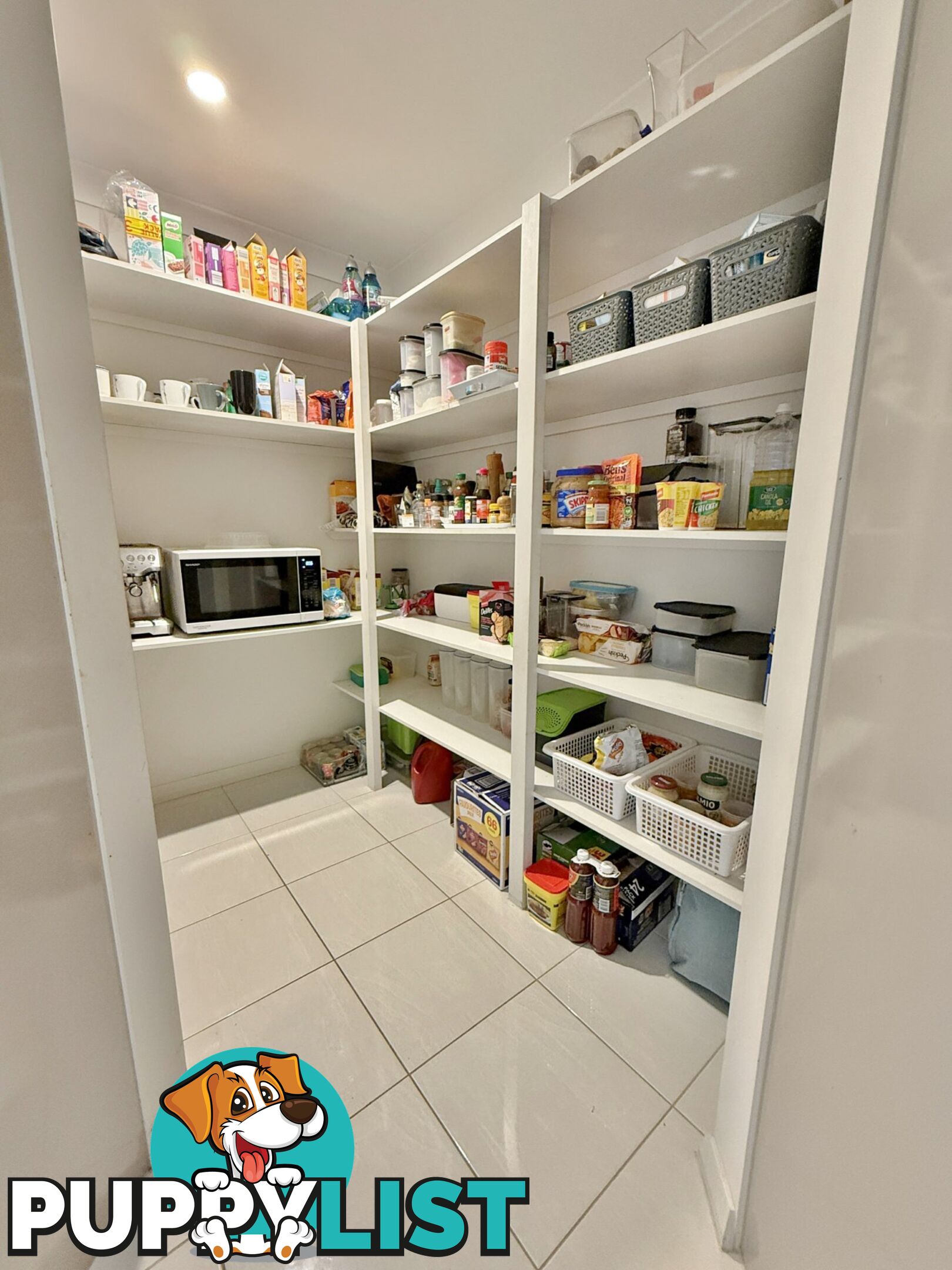 403 Spring Creek Road YOUNG NSW 2594