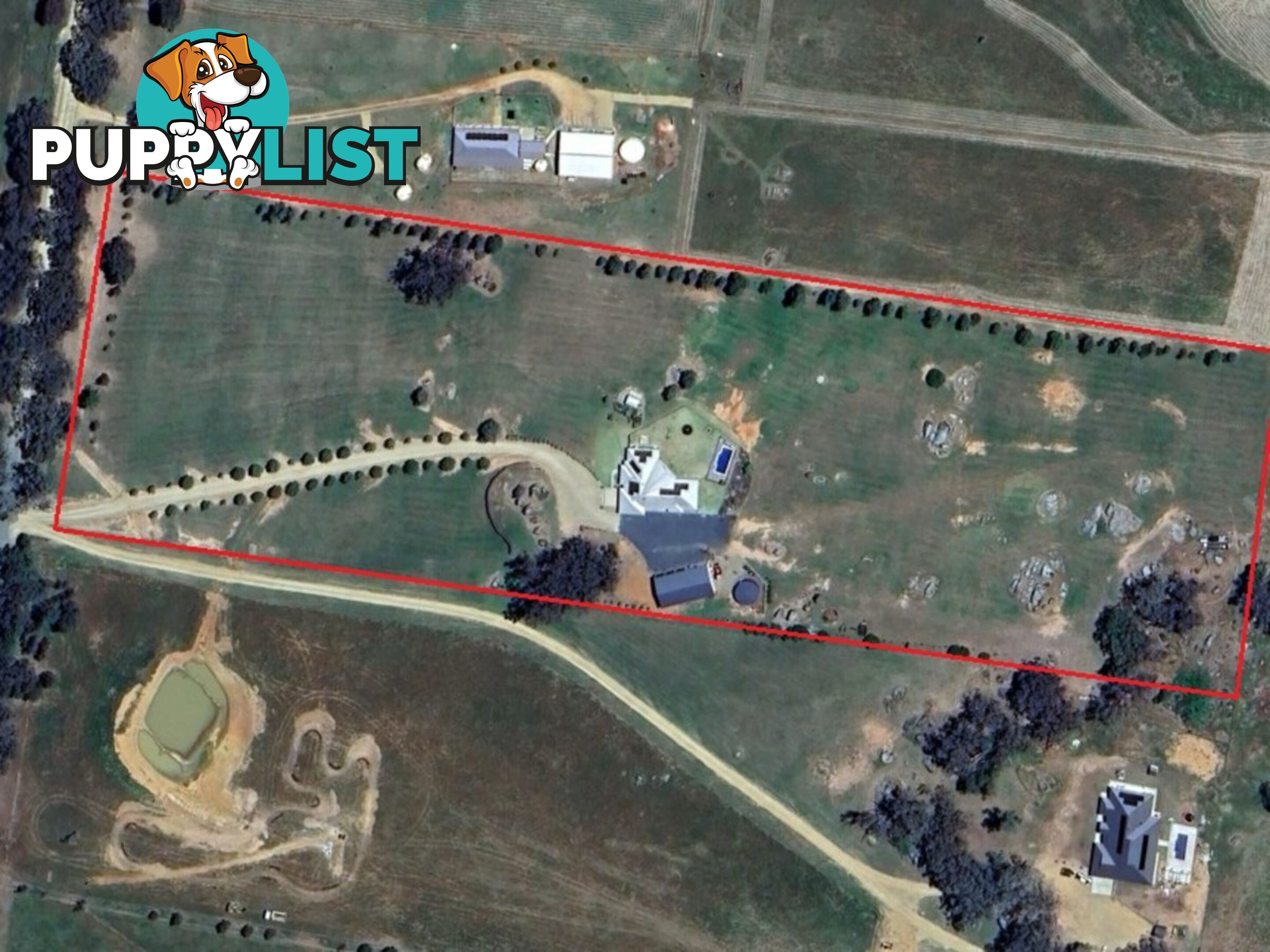 403 Spring Creek Road YOUNG NSW 2594