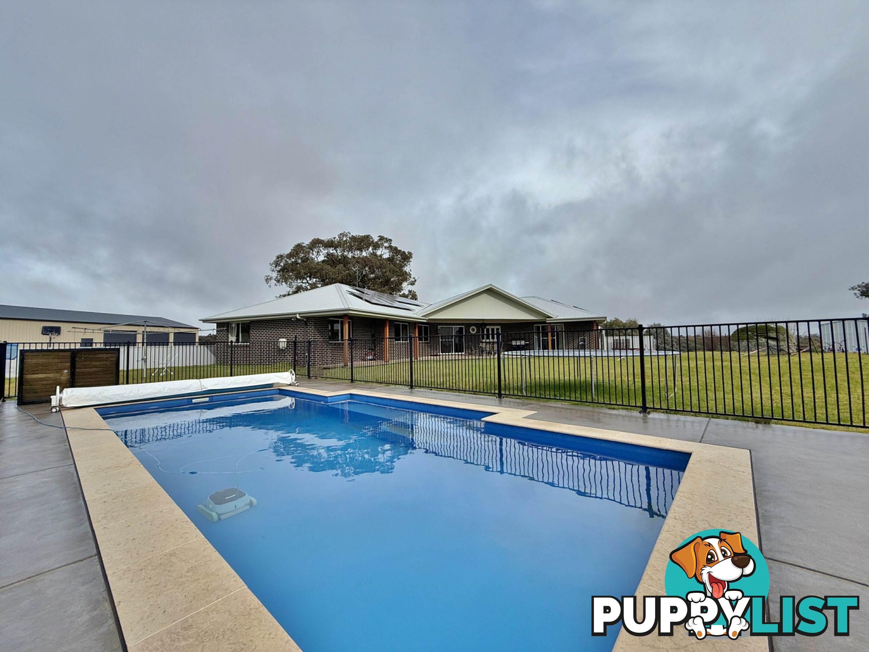 403 Spring Creek Road YOUNG NSW 2594