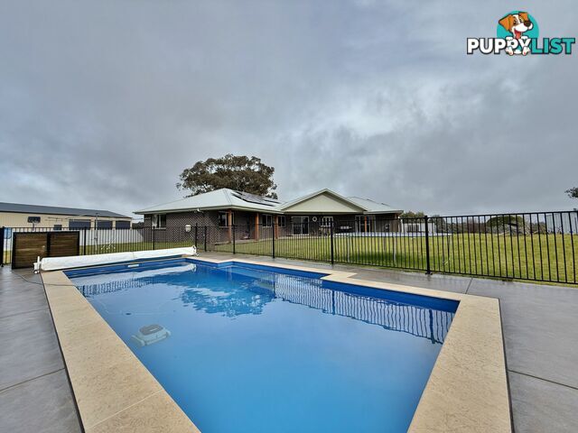 403 Spring Creek Road YOUNG NSW 2594