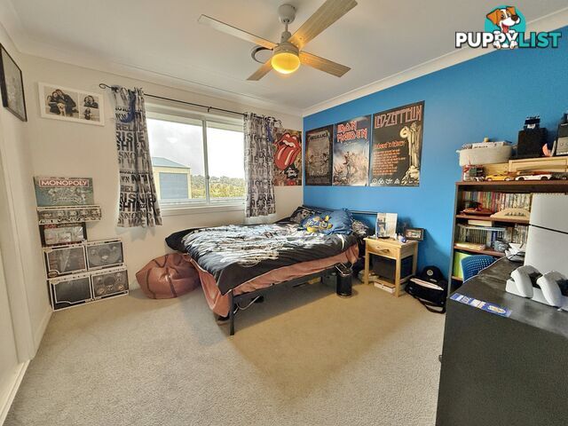 403 Spring Creek Road YOUNG NSW 2594