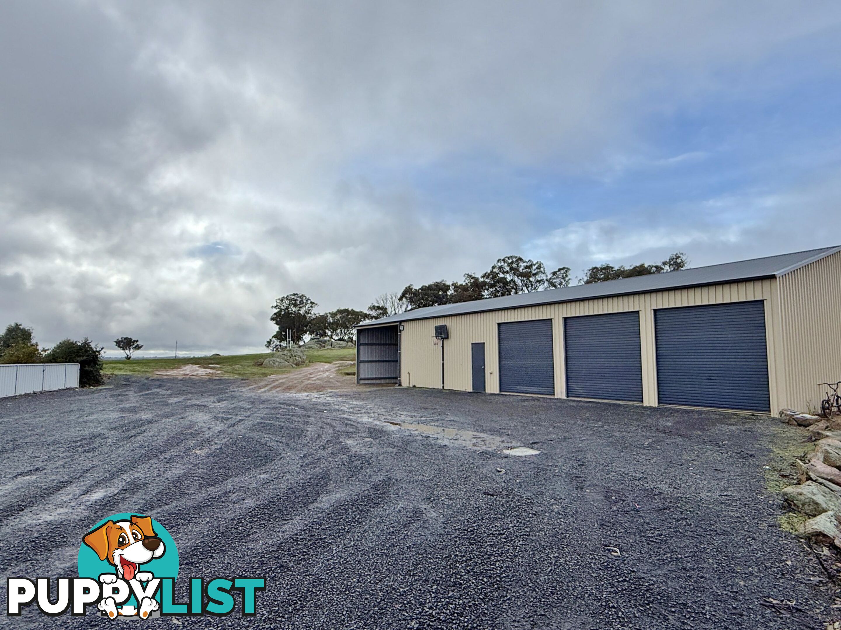 403 Spring Creek Road YOUNG NSW 2594