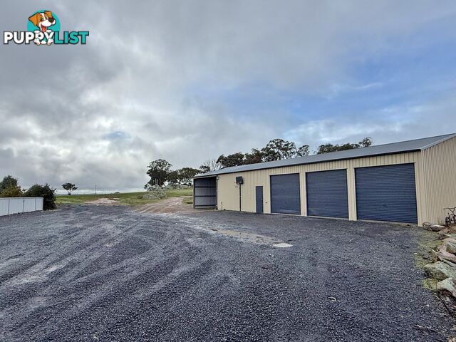 403 Spring Creek Road YOUNG NSW 2594