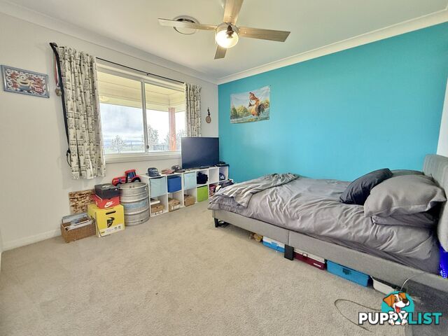 403 Spring Creek Road YOUNG NSW 2594