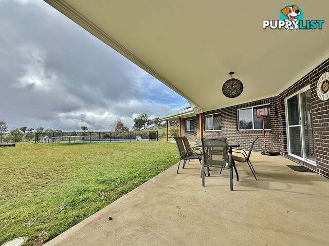403 Spring Creek Road YOUNG NSW 2594