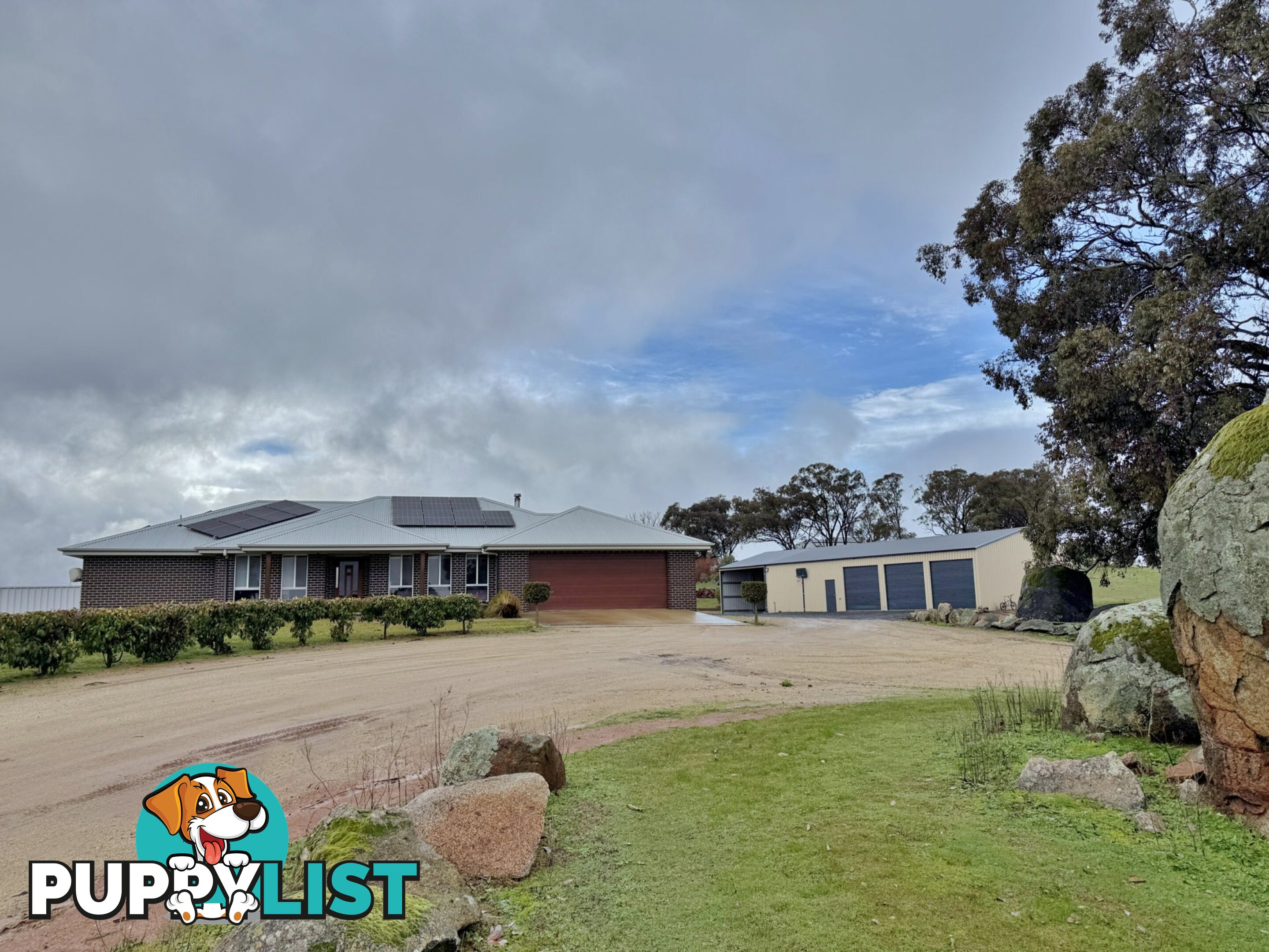 403 Spring Creek Road YOUNG NSW 2594