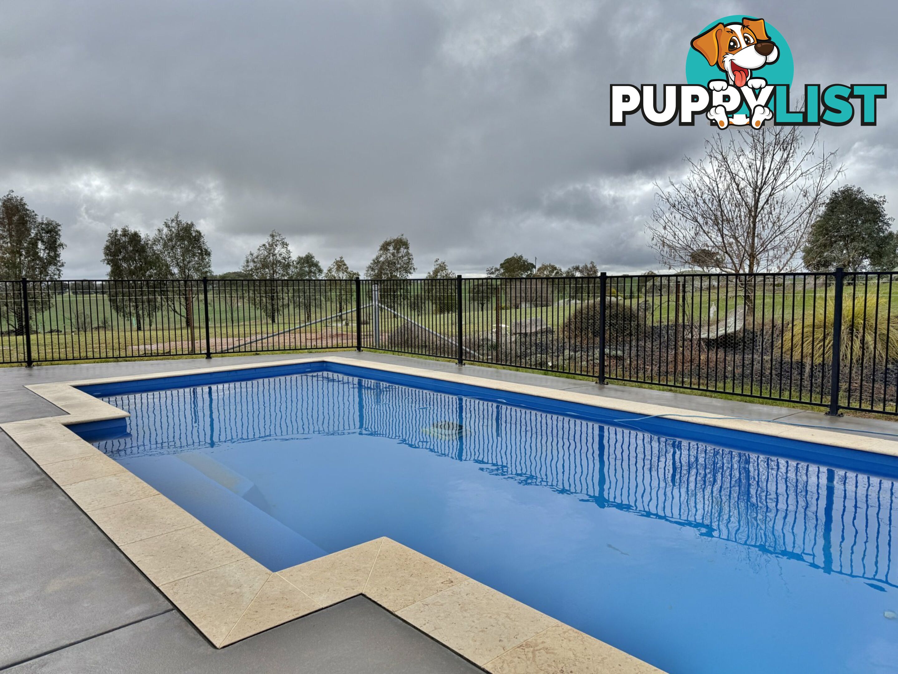 403 Spring Creek Road YOUNG NSW 2594