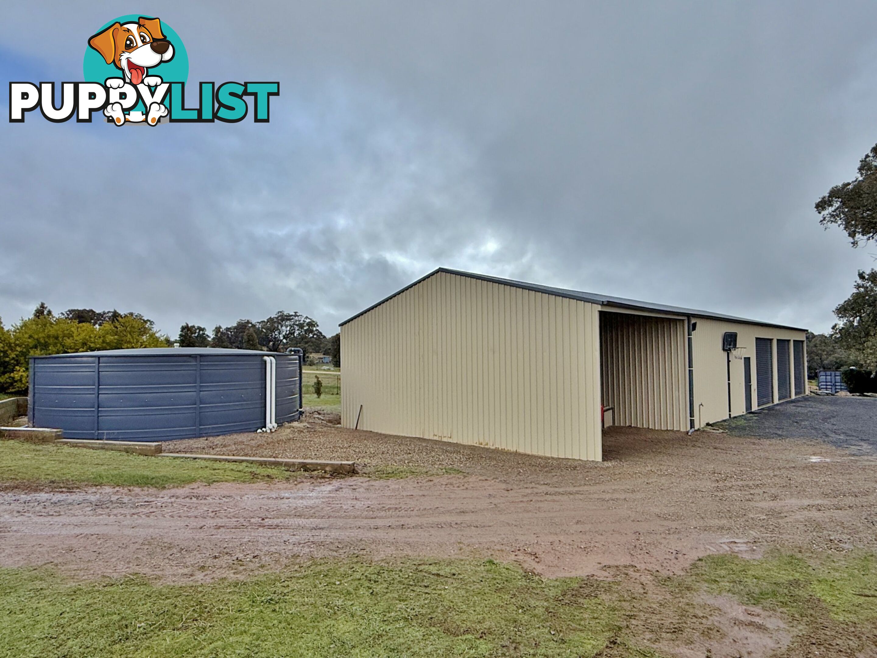 403 Spring Creek Road YOUNG NSW 2594